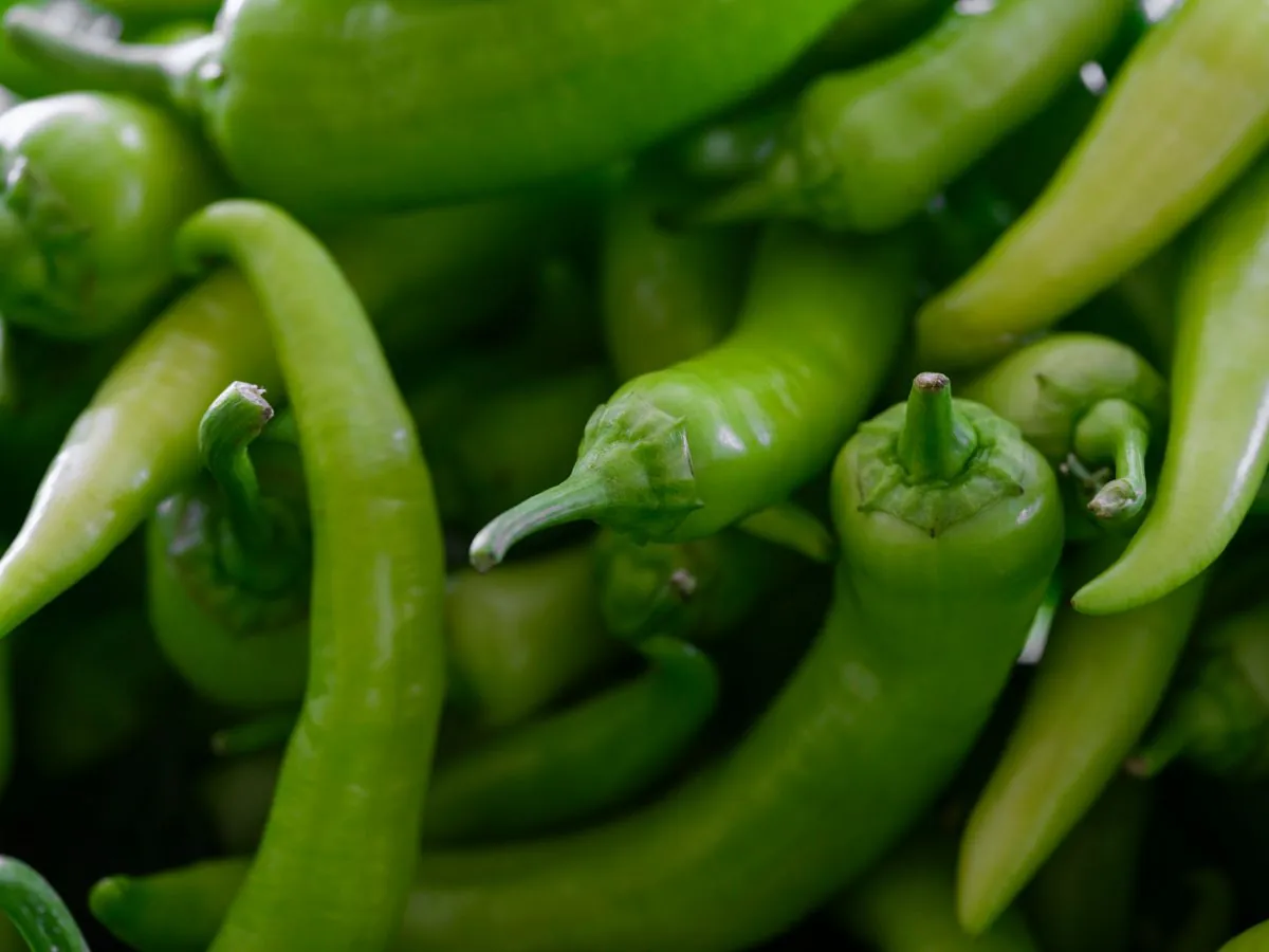 Fresh Pepper