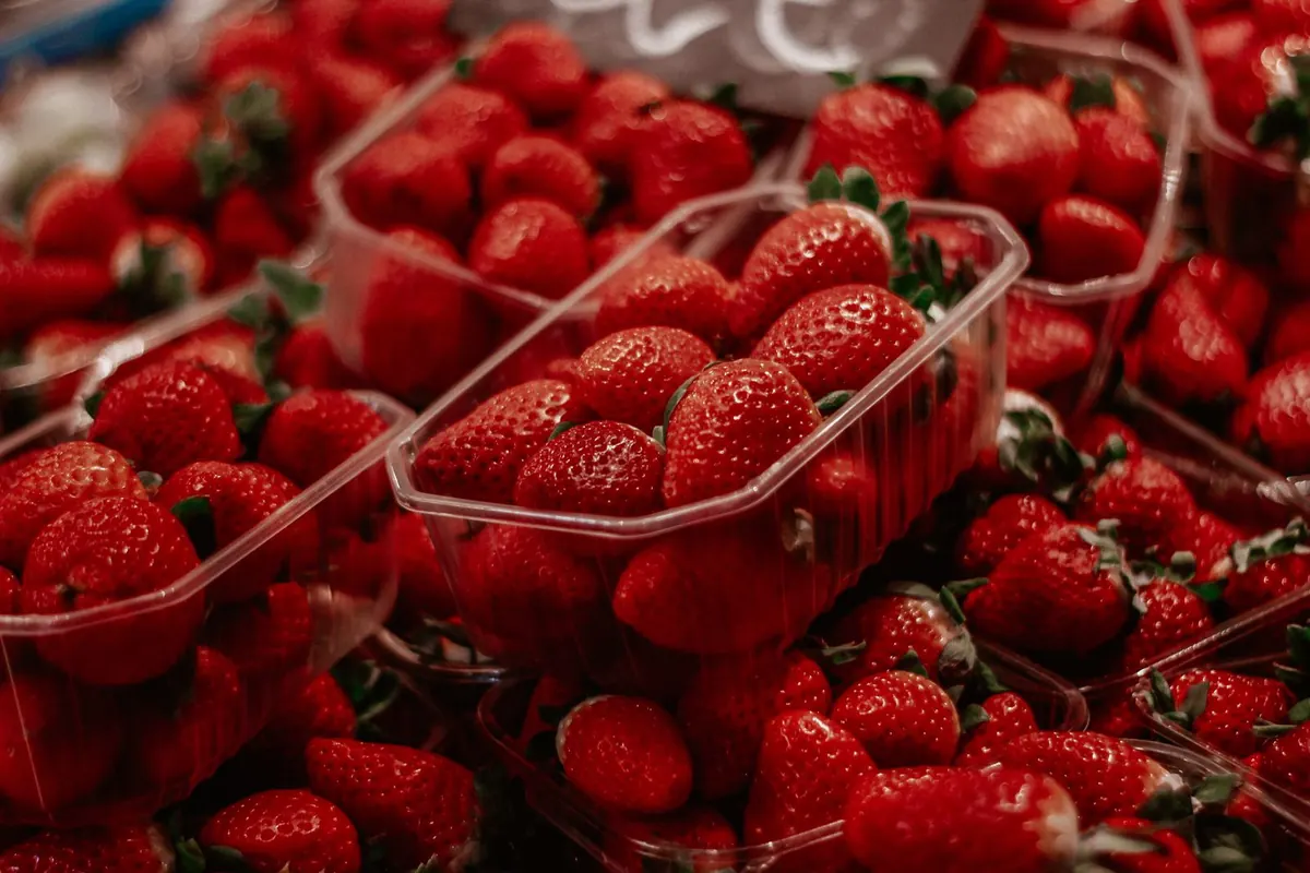 Fresh Strawberry