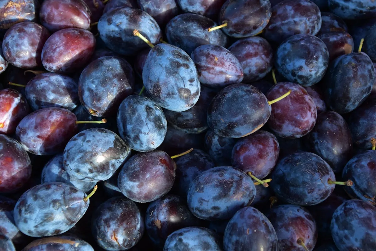 Fresh Plum