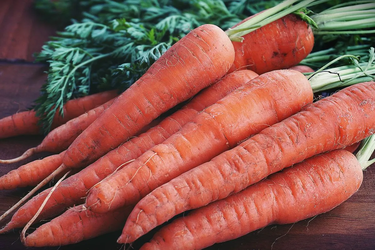Fresh Carrot