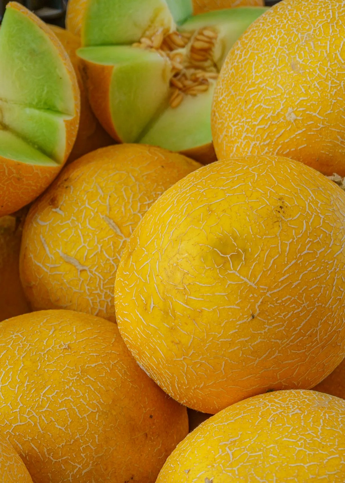 Fresh Melon
