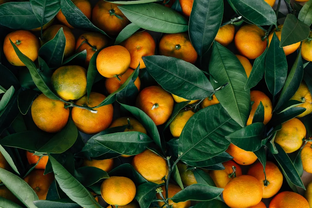 Fresh Mandarin
