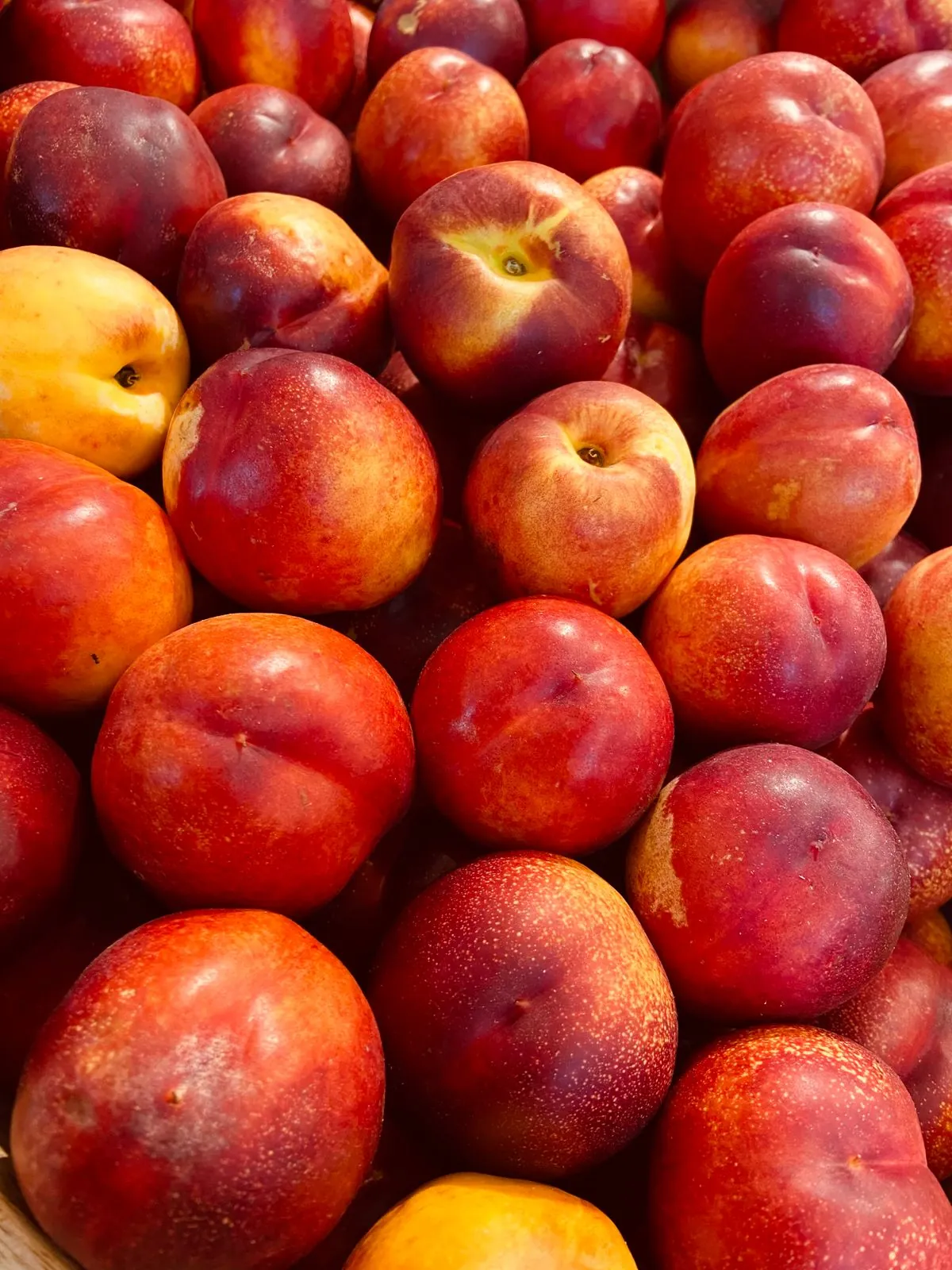 Fresh Nectarine
