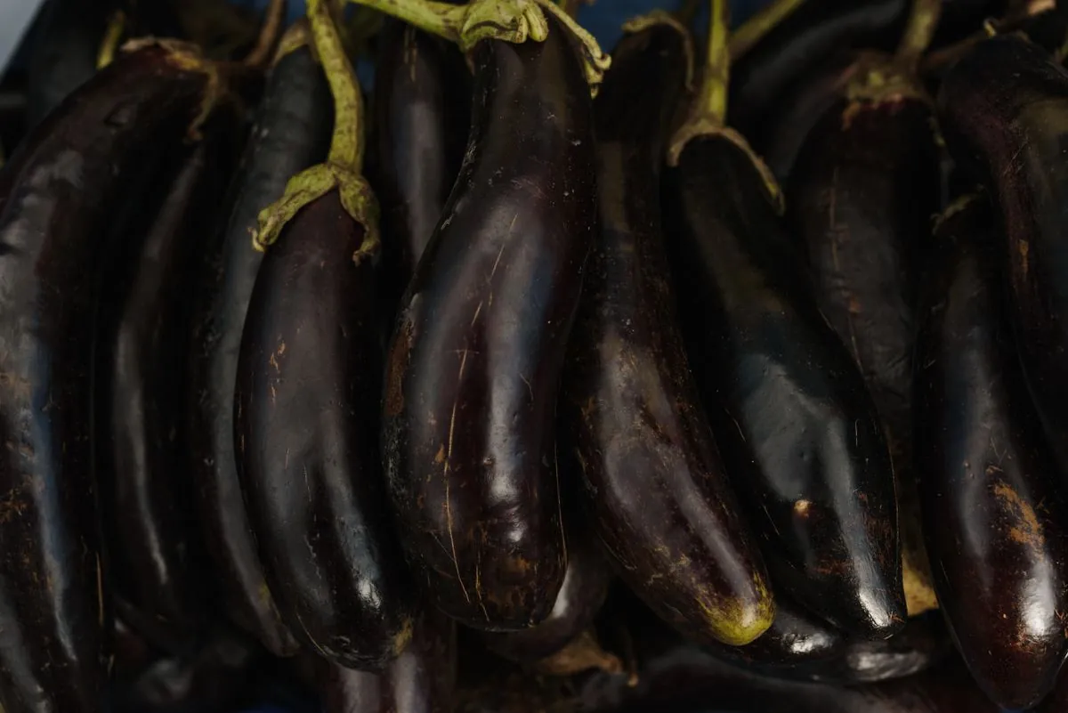 Fresh Eggplant