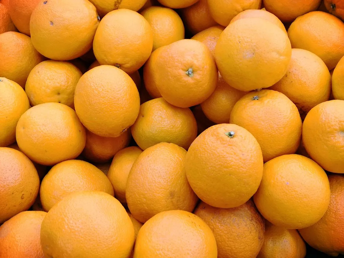 Fresh Orange
