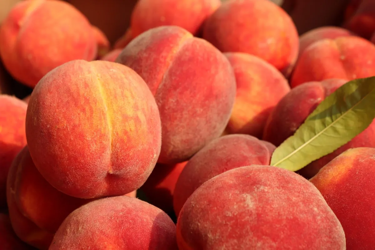Fresh Peach