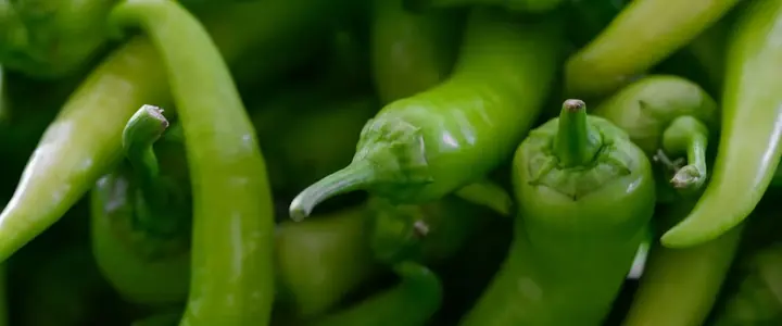 Fresh Pepper
