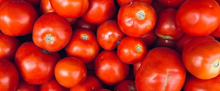 Fresh Tomato