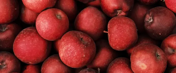 Fresh Apple