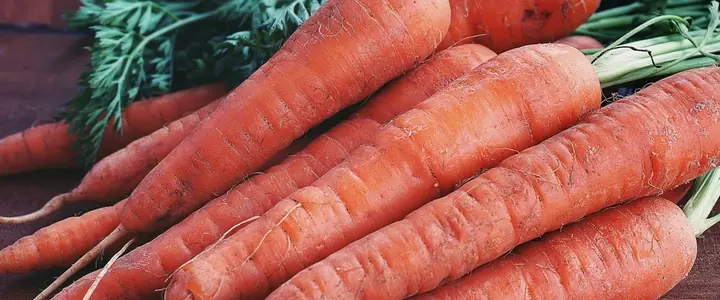 Fresh Carrot