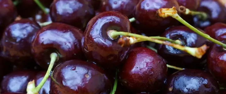 Fresh Cherry