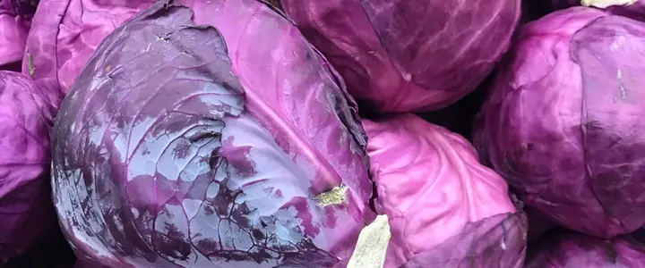 Fresh Red Cabbage