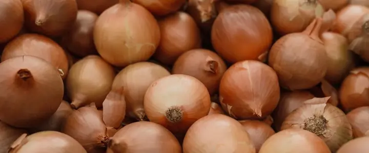 Fresh Dry Onion