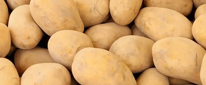 Fresh Potato