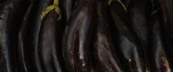 Fresh Eggplant