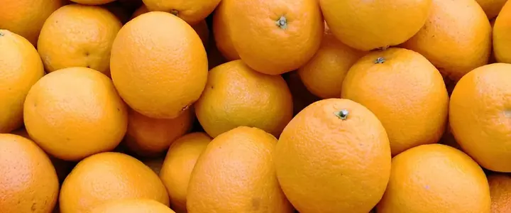 Fresh Orange