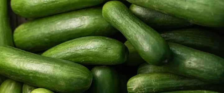 Fresh Cucumber