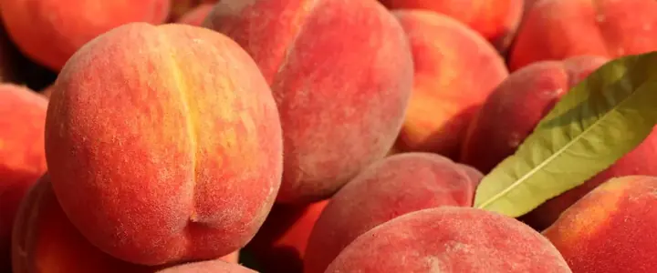 Fresh Peach