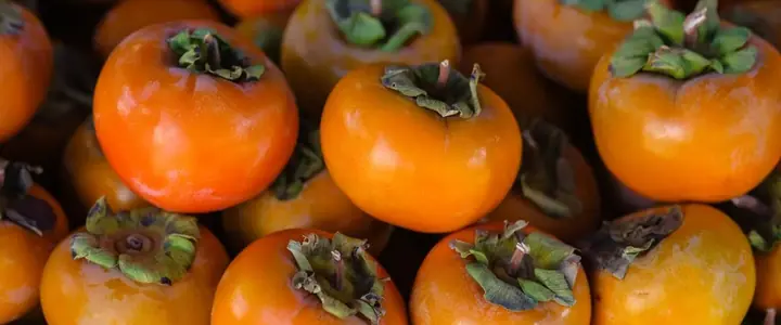 Fresh Persimmon