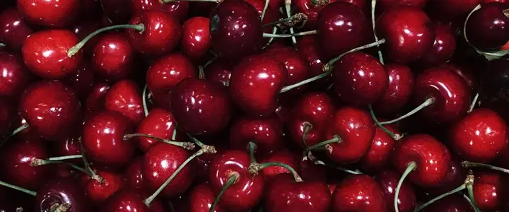Fresh Sour Cherry