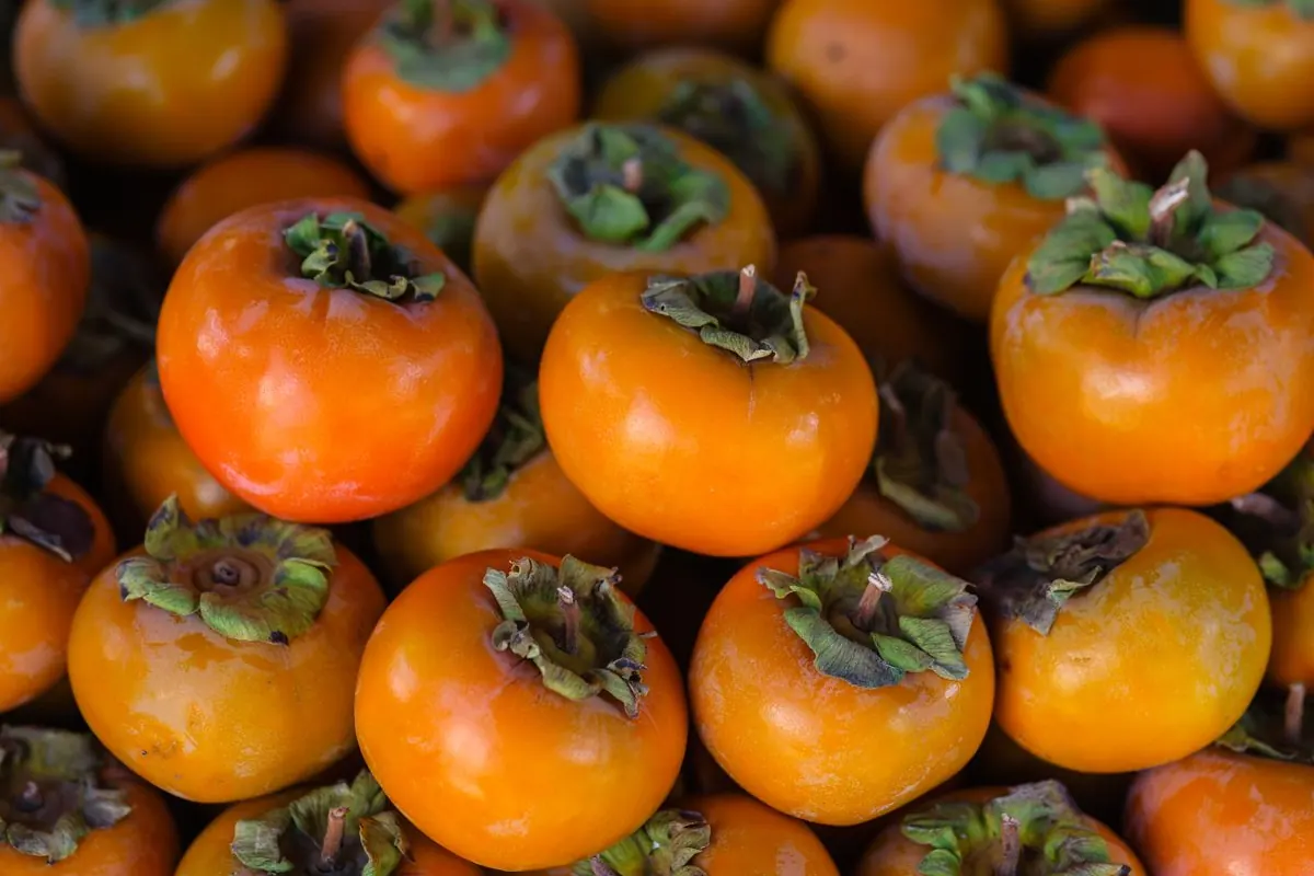 Fresh Persimmon