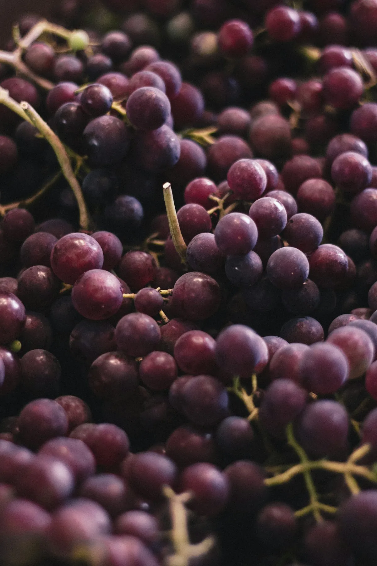 Fresh Grapes