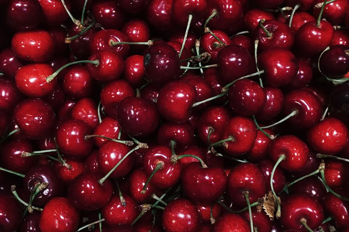 Fresh Sour Cherry