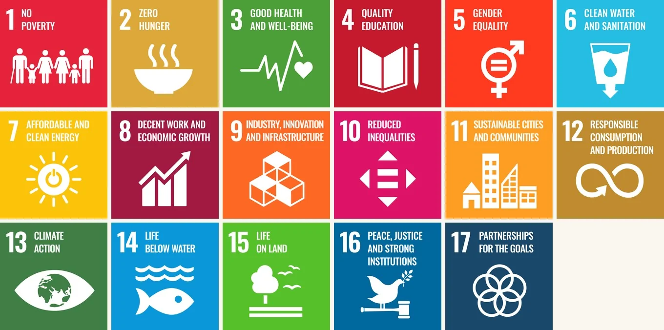 The United Nations' 17 Sustainable Development Goals